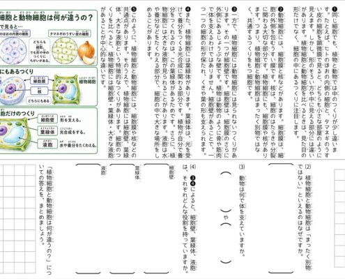 kokugo1